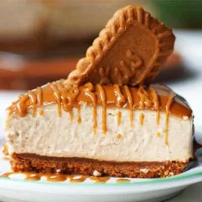 چیز کیک لوتوس — کافه ژوان