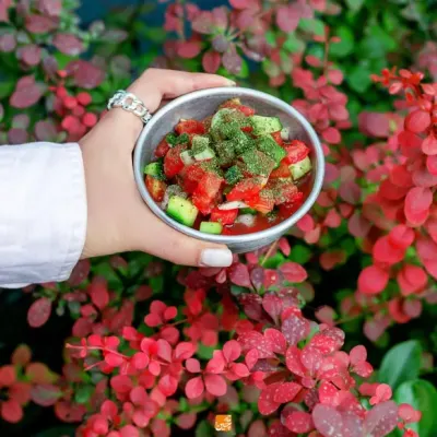سالاد شیرازی — ته چین طوری (هاشمیه)